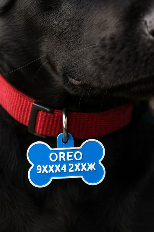 Black dog wearing a red collar with a blue bone-shaped tag labeled 'OREO'.